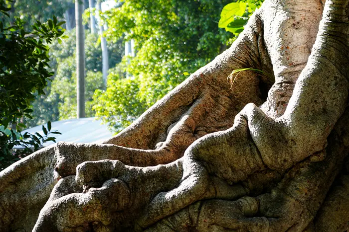 jardines y zonas de descanso en las estacas