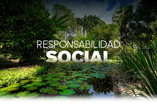 BANNER-RESPONSABILIDAD-SOCIAL-600X400 banner celular responsabilidad social las estacas