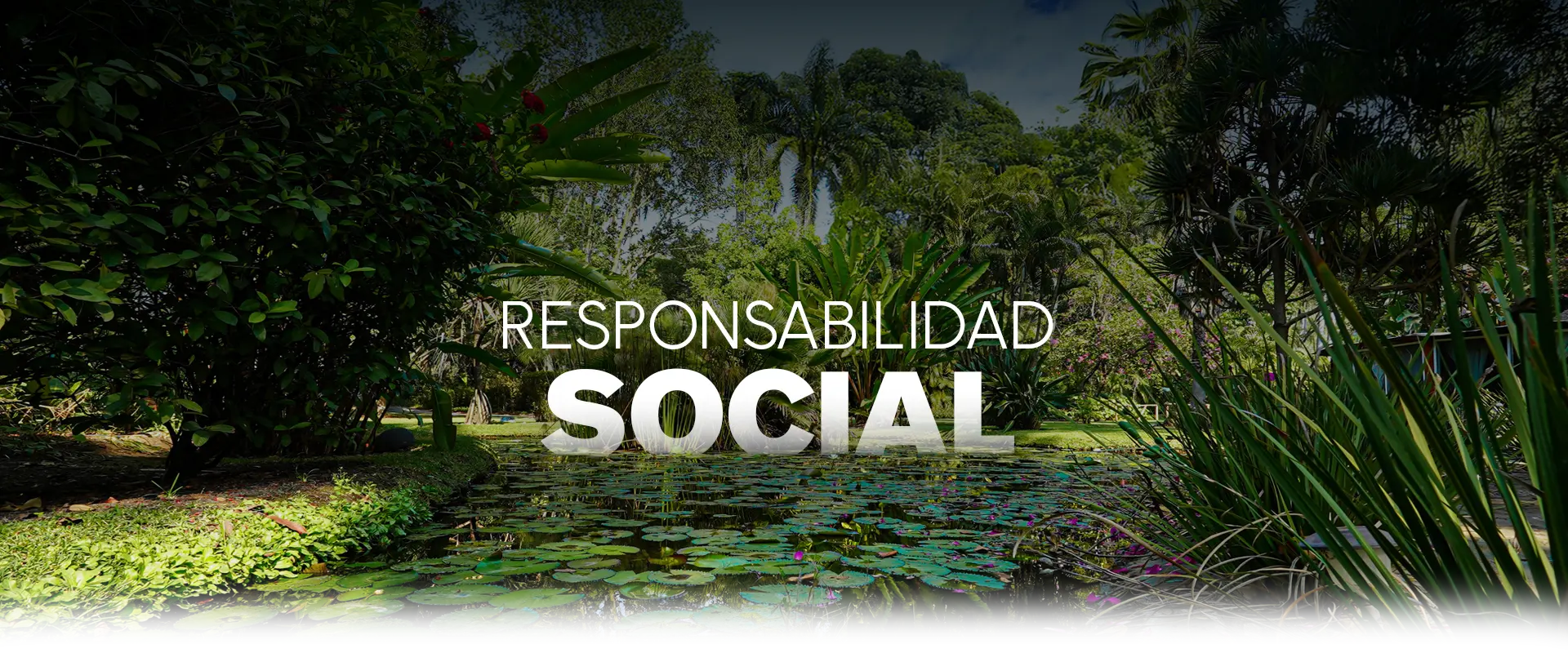 BANNER-RESPONSABILIDAD-SOCIAL2 banner de responsabilidad social de las estacas