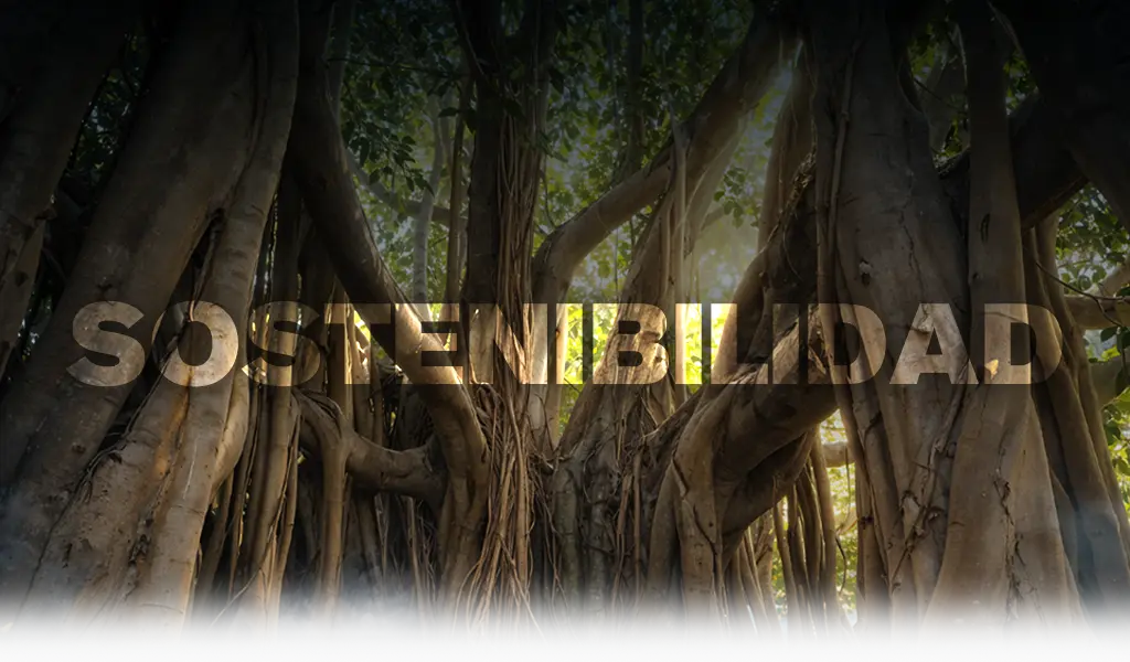 BANNER-SOSTENIBILIDAD-1024x600 banner de sostenibilidad para tabletas las estacas