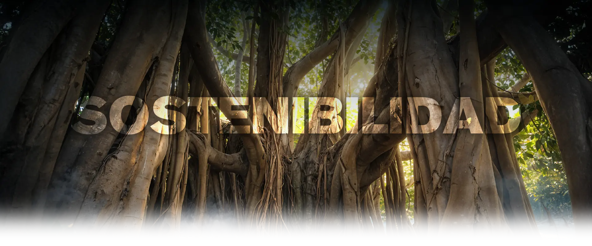 BANNER-SOSTENIBILIDAD banner sostenibilidad las estacas